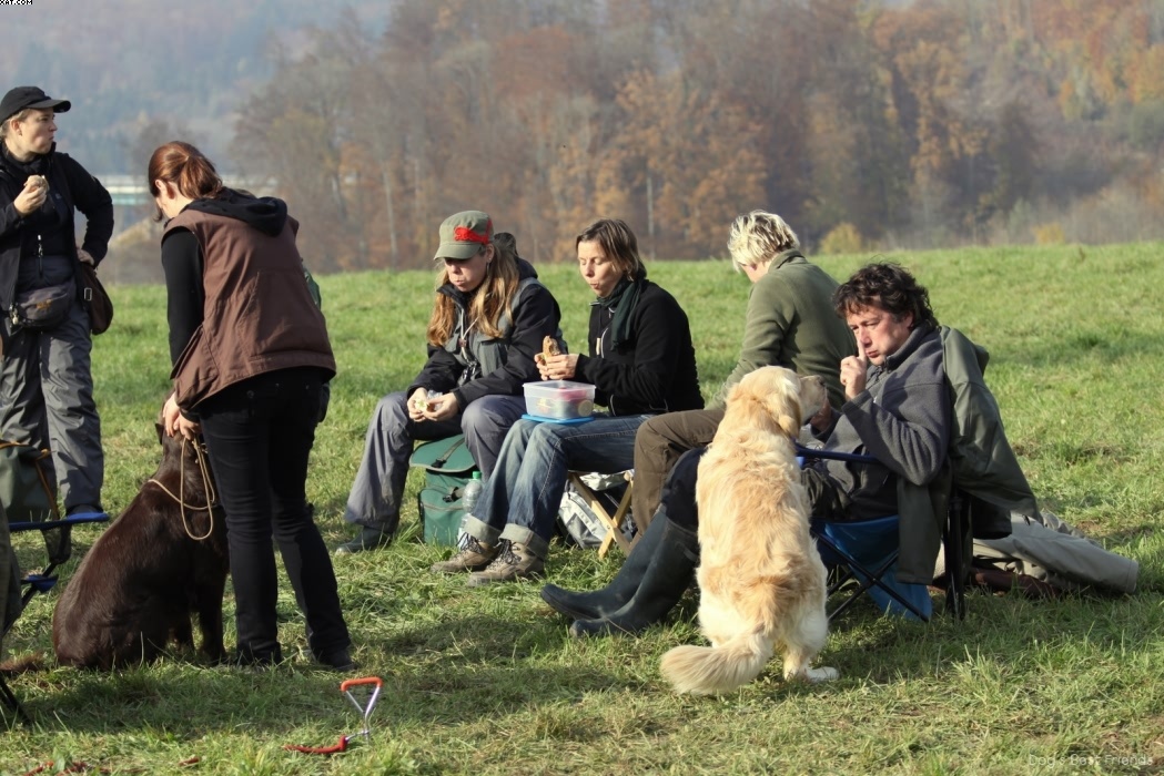 Img 1257442787 647 lg opt