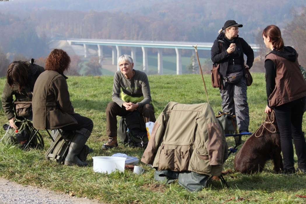 Img 1257442835 954 lg opt