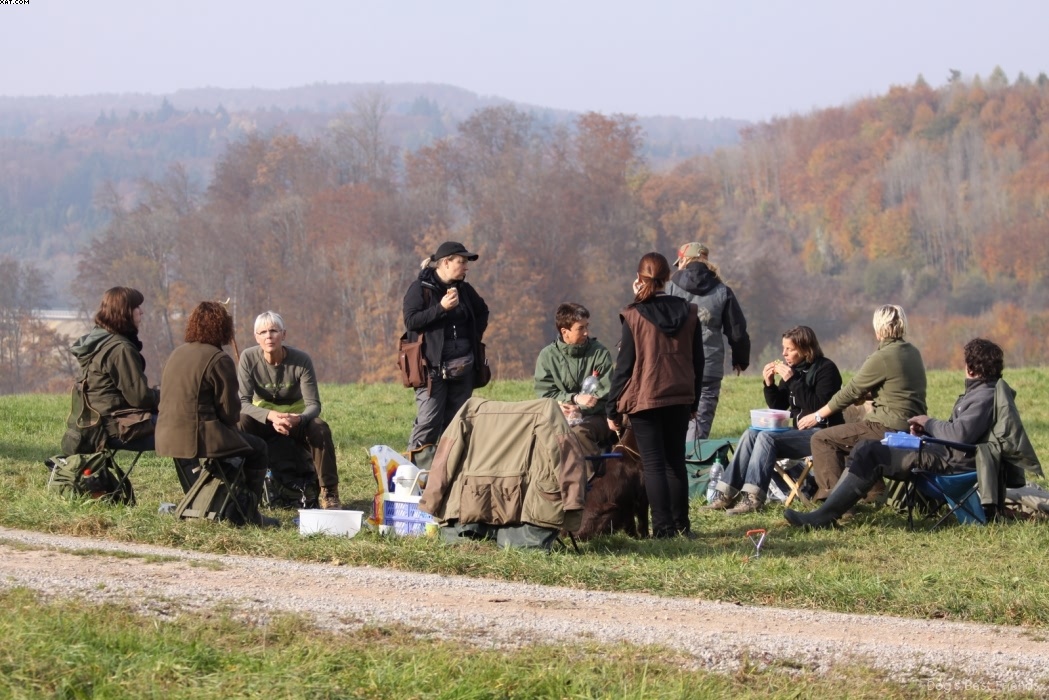 Img 1257442885 518 lg opt