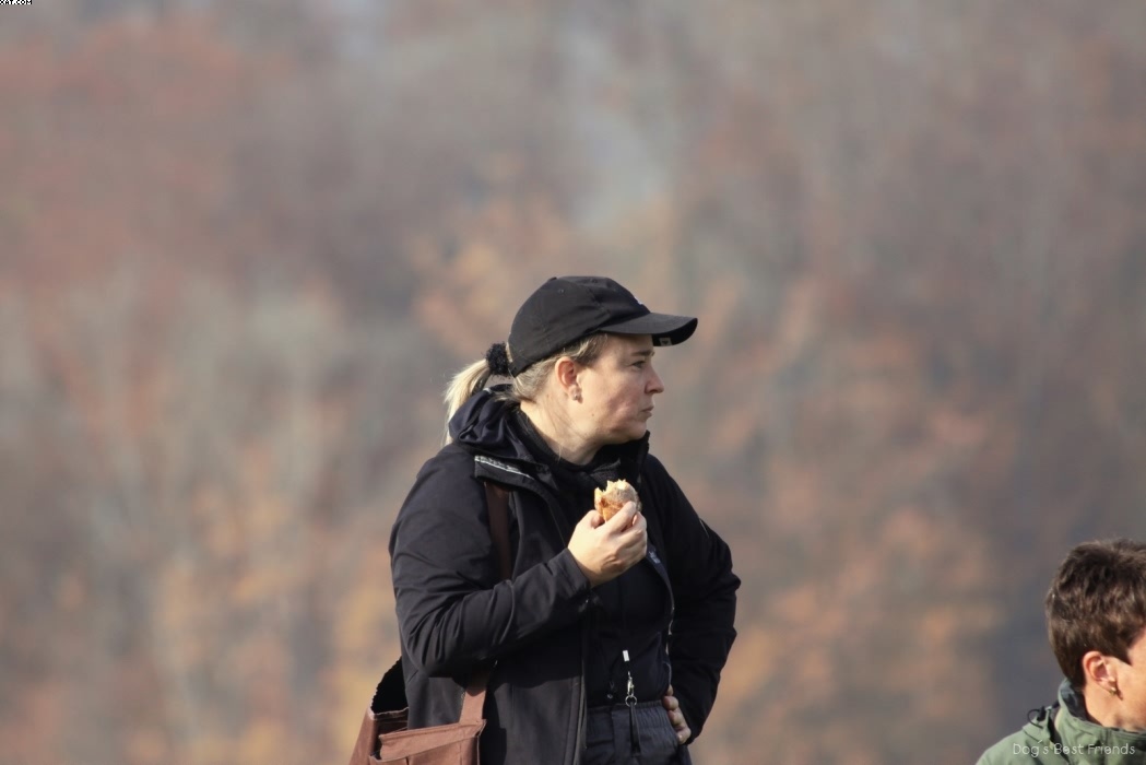 Img 1257442909 528 lg opt