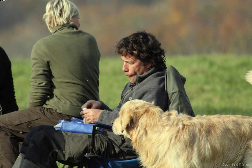 Img 1257442940 302 lg opt