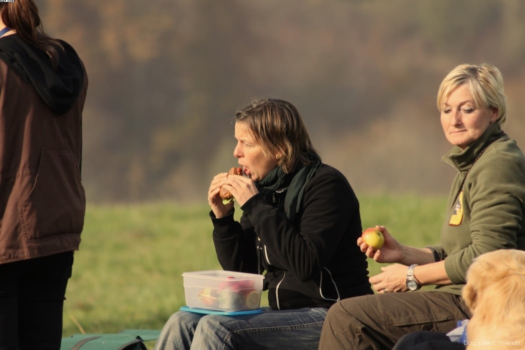 Img 1257442966 911 lg opt