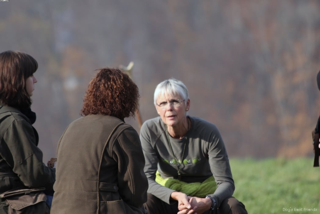 Img 1257442994 951 lg opt