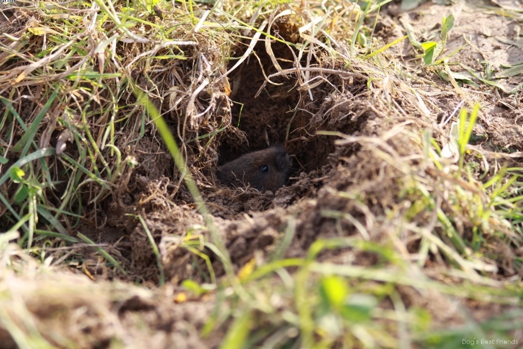 Img 1257443086 2 lg opt