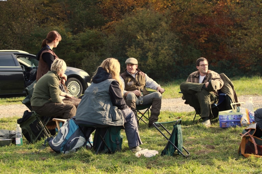 Img 1257443169 335 lg opt