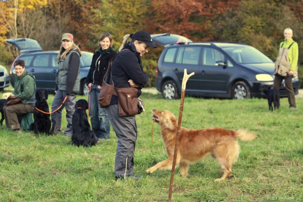 Img 1257443268 360 lg opt