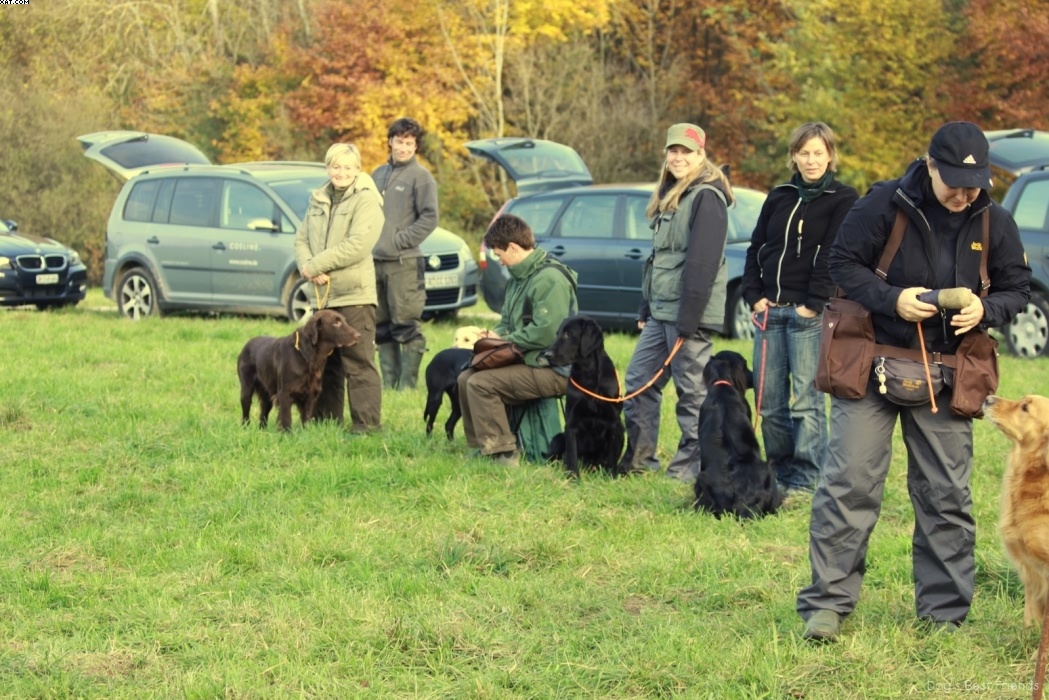 Img 1257443327 823 lg opt