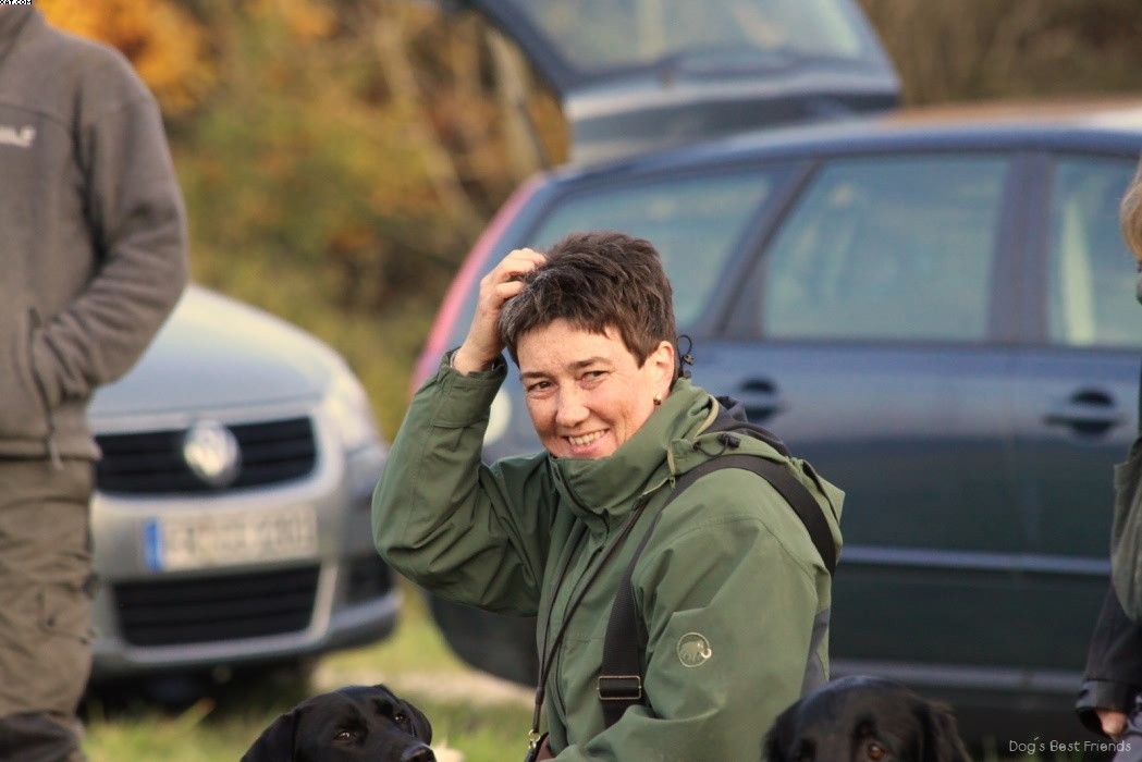 Img 1257443410 515 lg opt