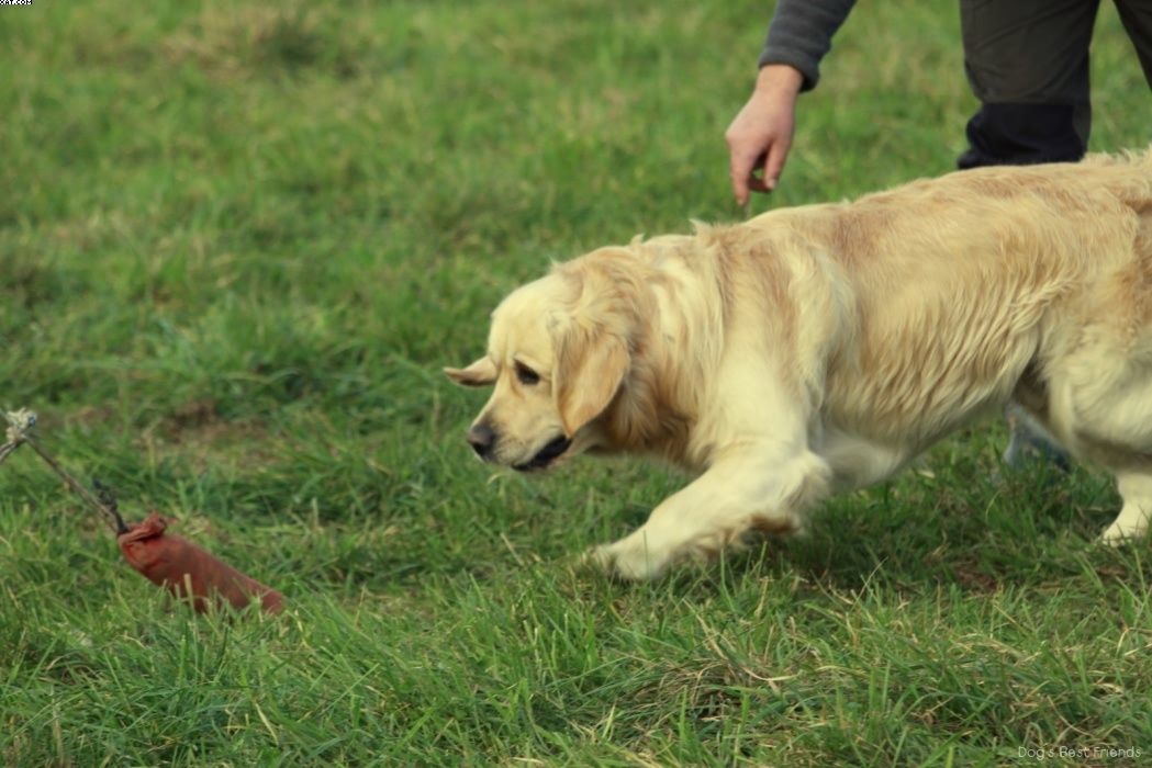 Img 1257443540 308 lg opt