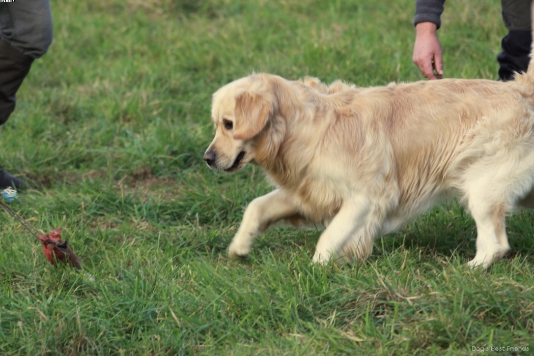 Img 1257443576 685 lg opt