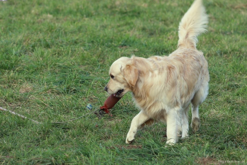 Img 1257443618 689 lg opt