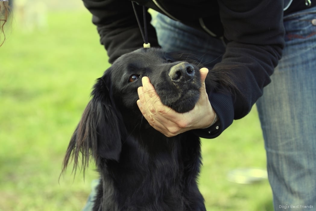 Img 1257443650 806 lg opt