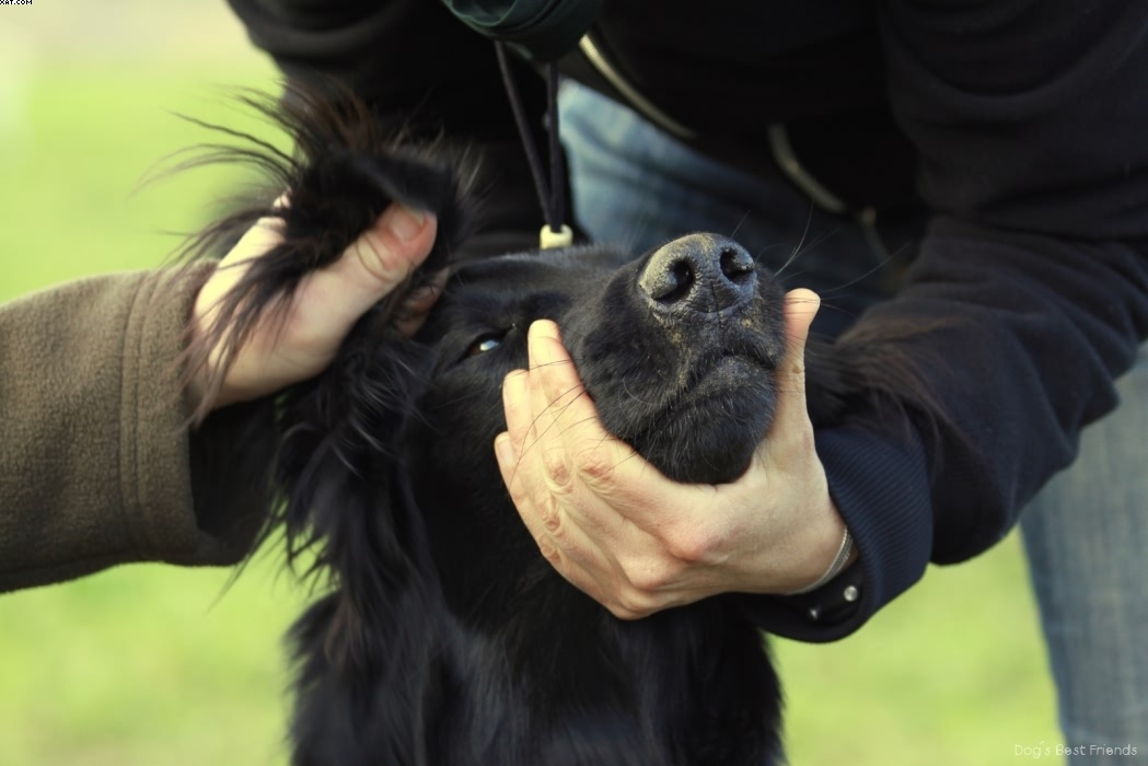 Img 1257443674 935 lg opt