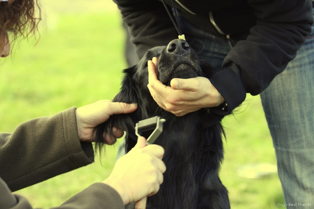 Img 1257443701 14 lg opt