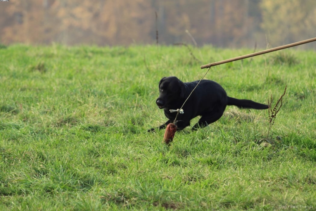 Img 1257443752 183 lg opt