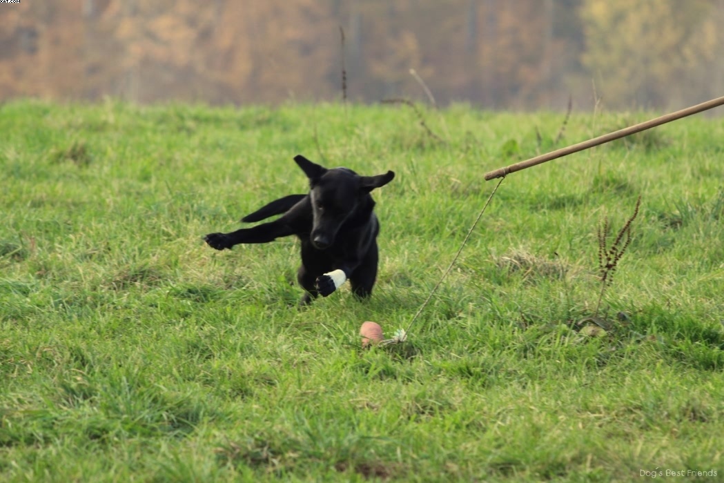 Img 1257443799 131 lg opt