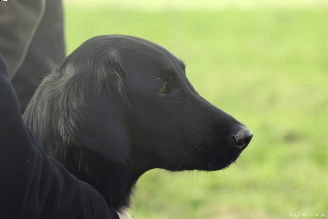 Img 1257443866 537 lg opt