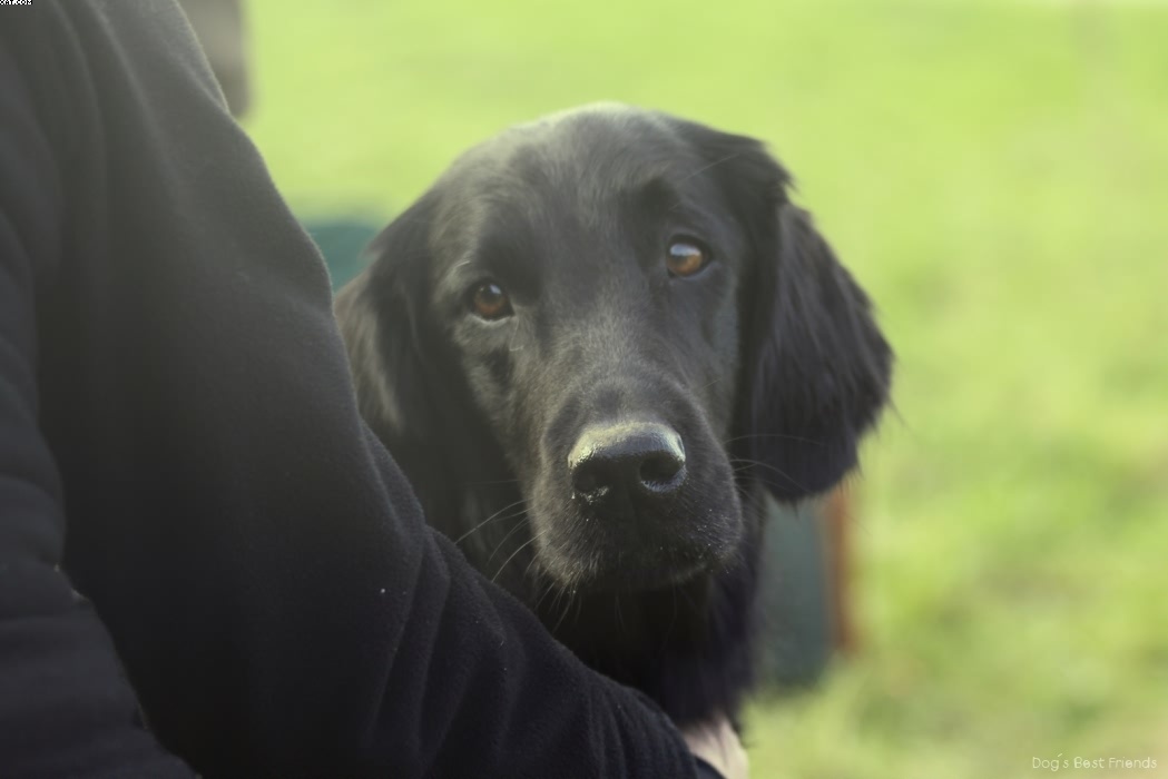 Img 1257443884 925 lg opt