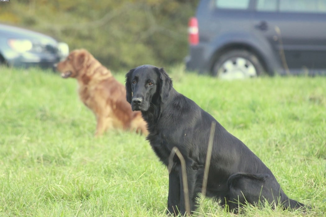 Img 1257443917 168 lg opt