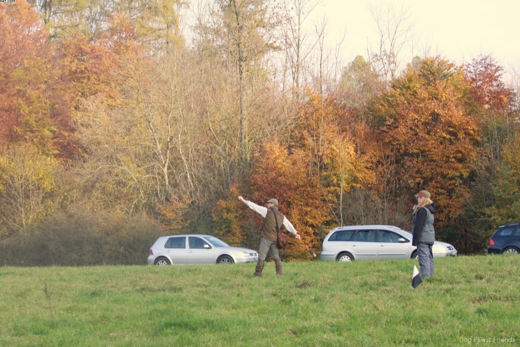 Img 1257443971 281 lg opt