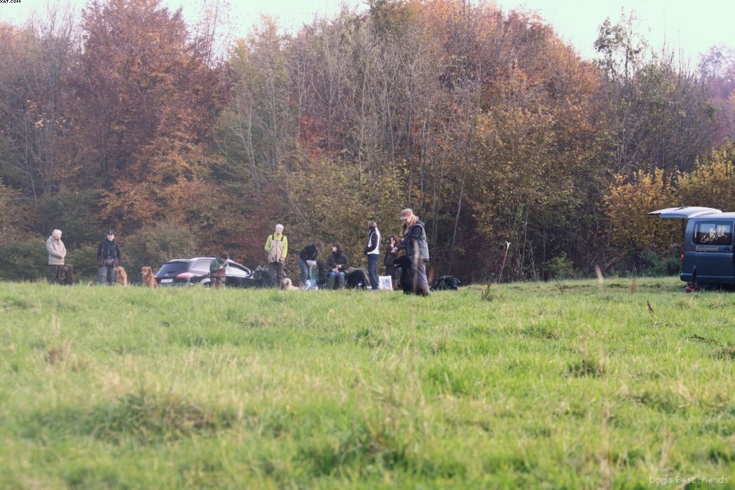 Img 1257444064 196 lg opt