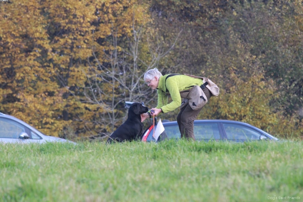 Img 1257444177 541 lg opt