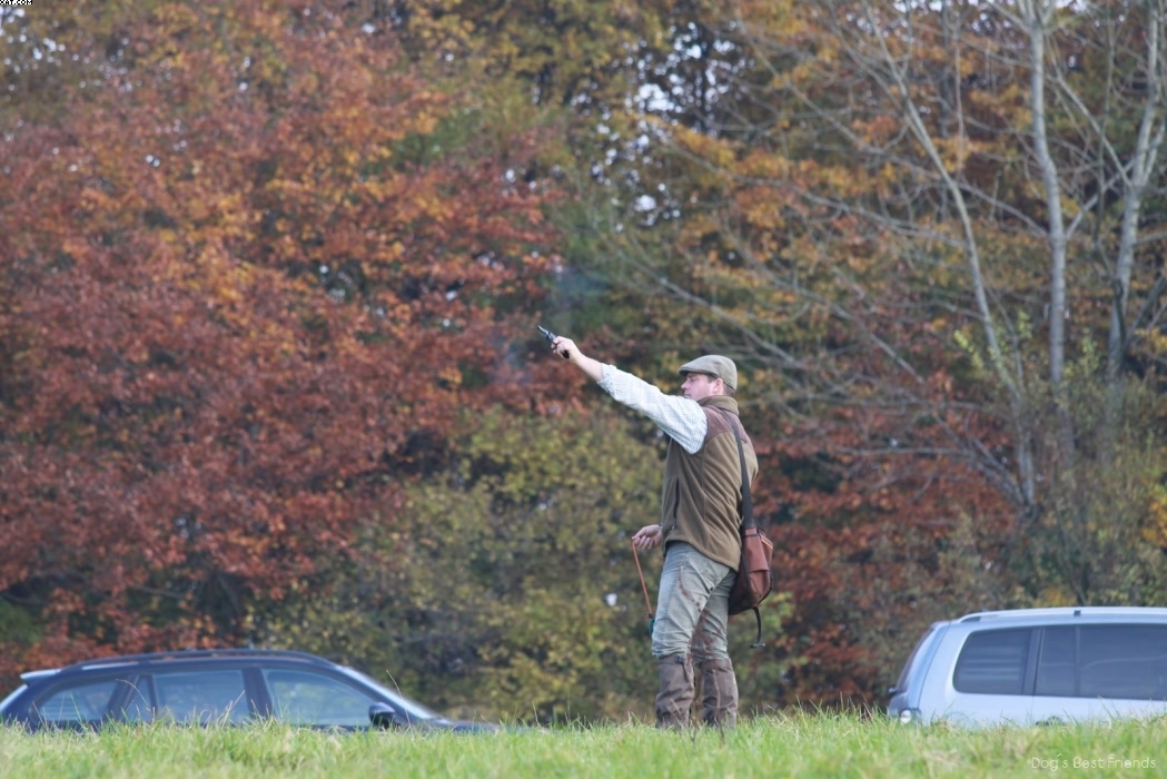 Img 1257444218 160 lg opt