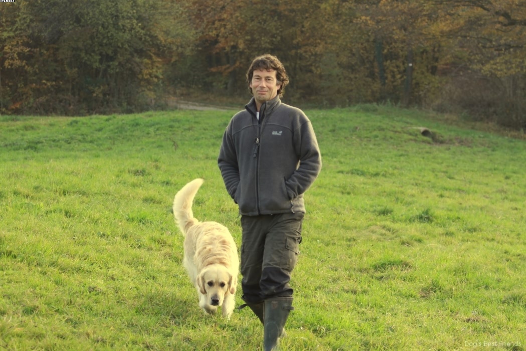 Img 1257444261 732 lg opt