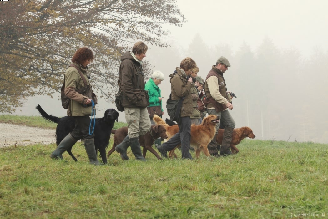 Img 1257444408 951 lg opt