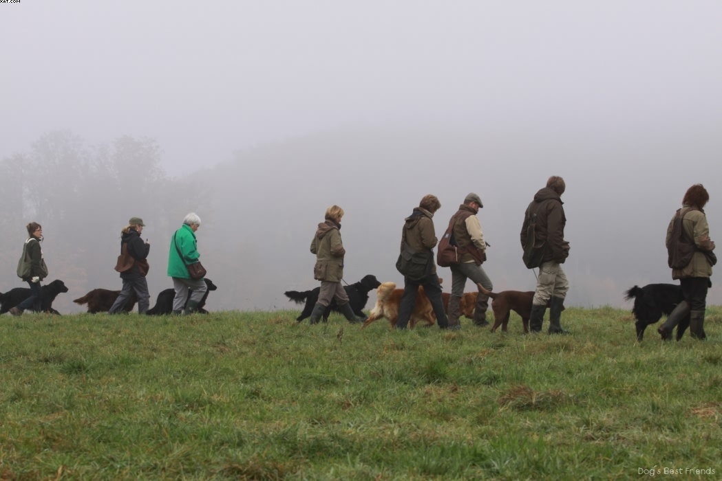 Img 1257444437 548 lg opt