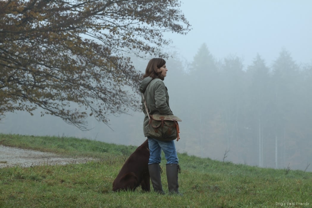 Img 1257444473 692 lg opt