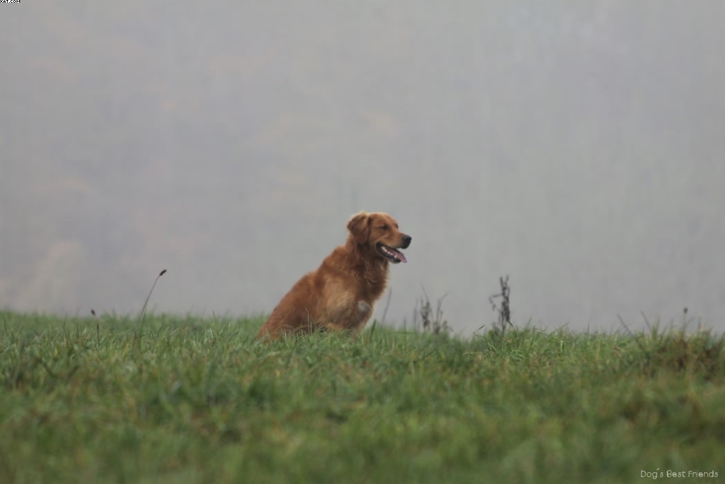 Img 1257444497 676 lg opt