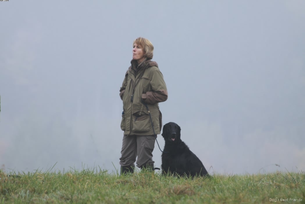 Img 1257444520 276 lg opt