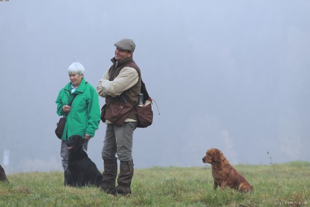 Img 1257444575 534 lg opt