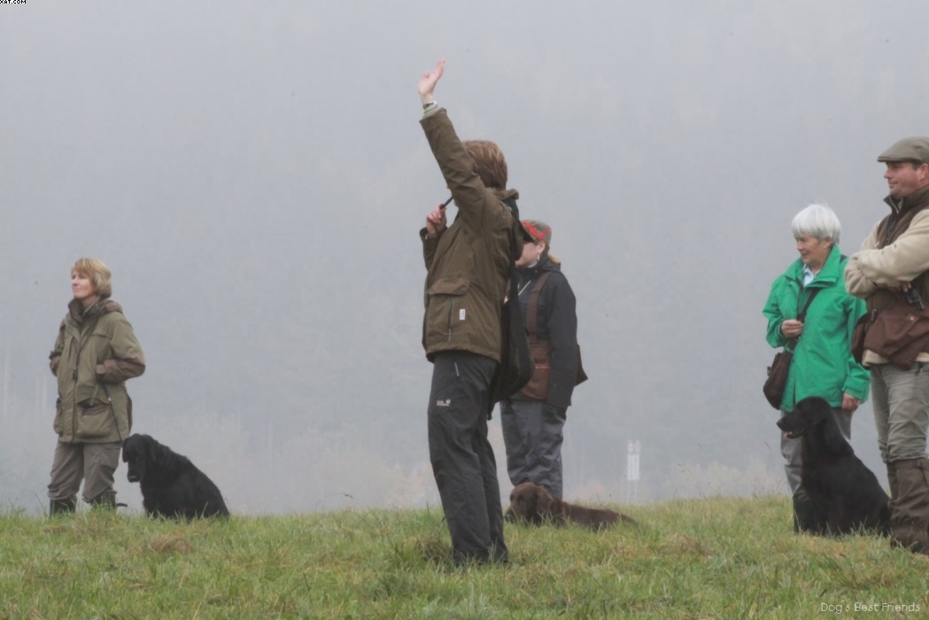 Img 1257444603 472 lg opt