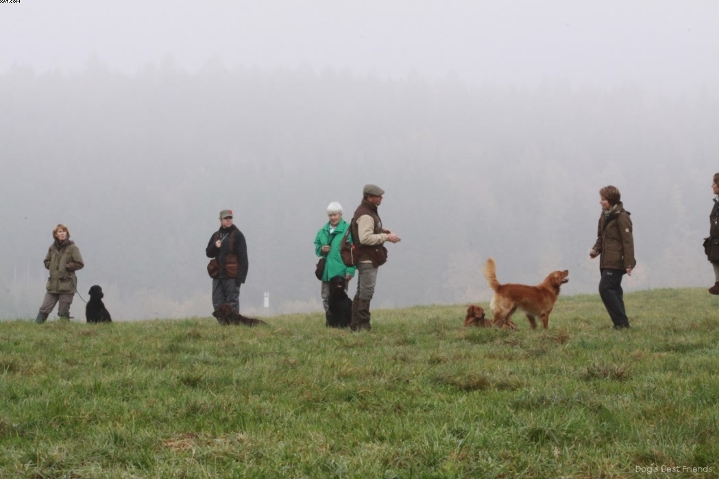 Img 1257444633 890 lg opt