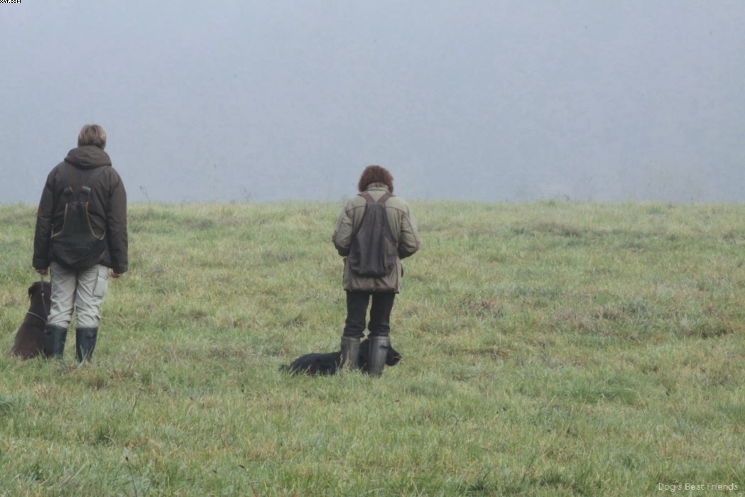 Img 1257444669 843 lg opt