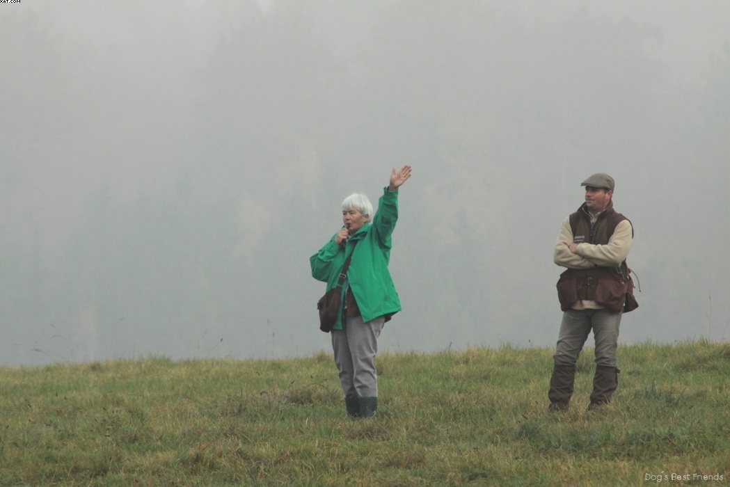 Img 1257444695 6 lg opt