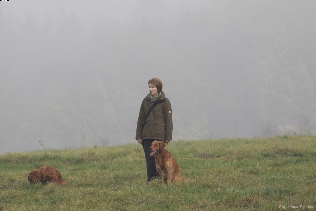 Img 1257444723 19 lg opt