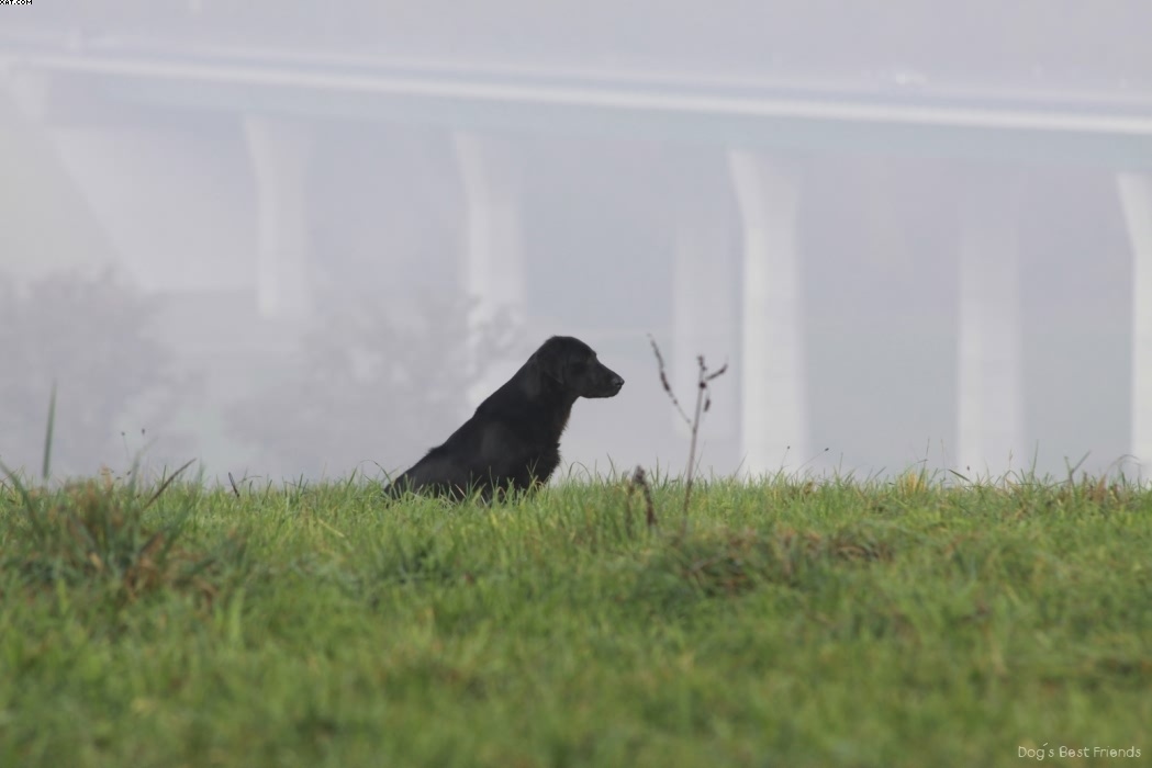 Img 1257444744 281 lg opt