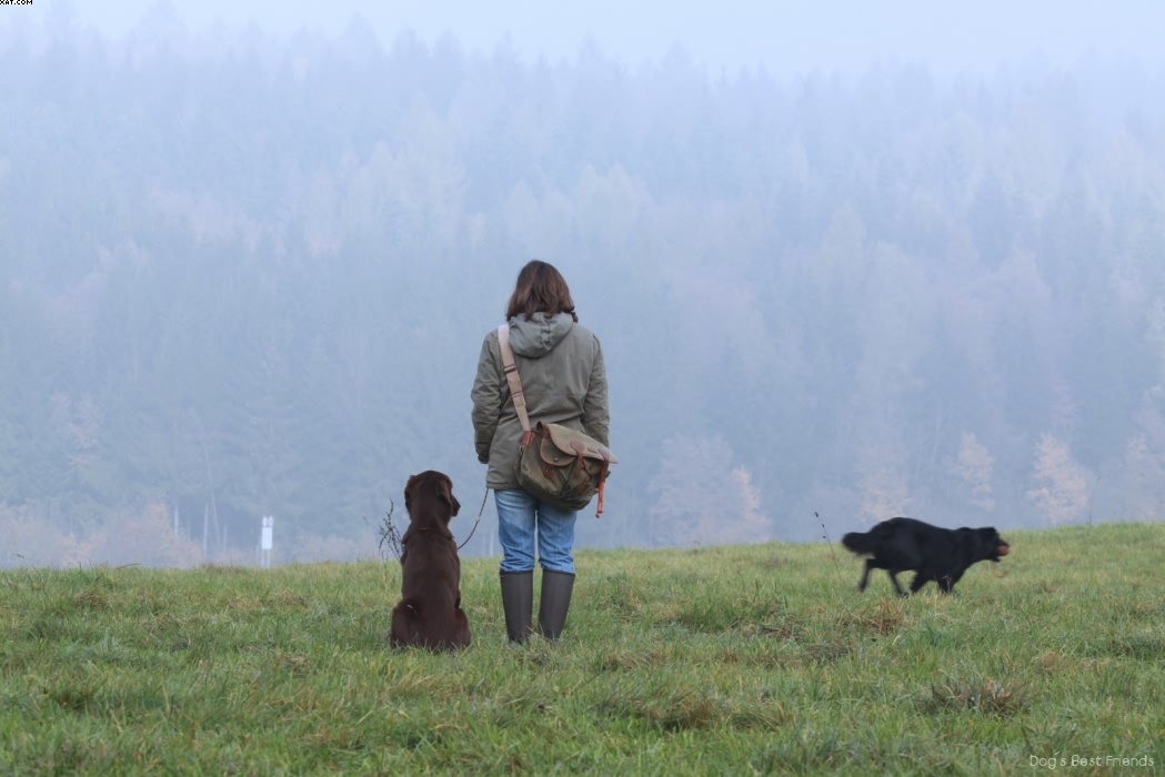 Img 1257444774 16 lg opt