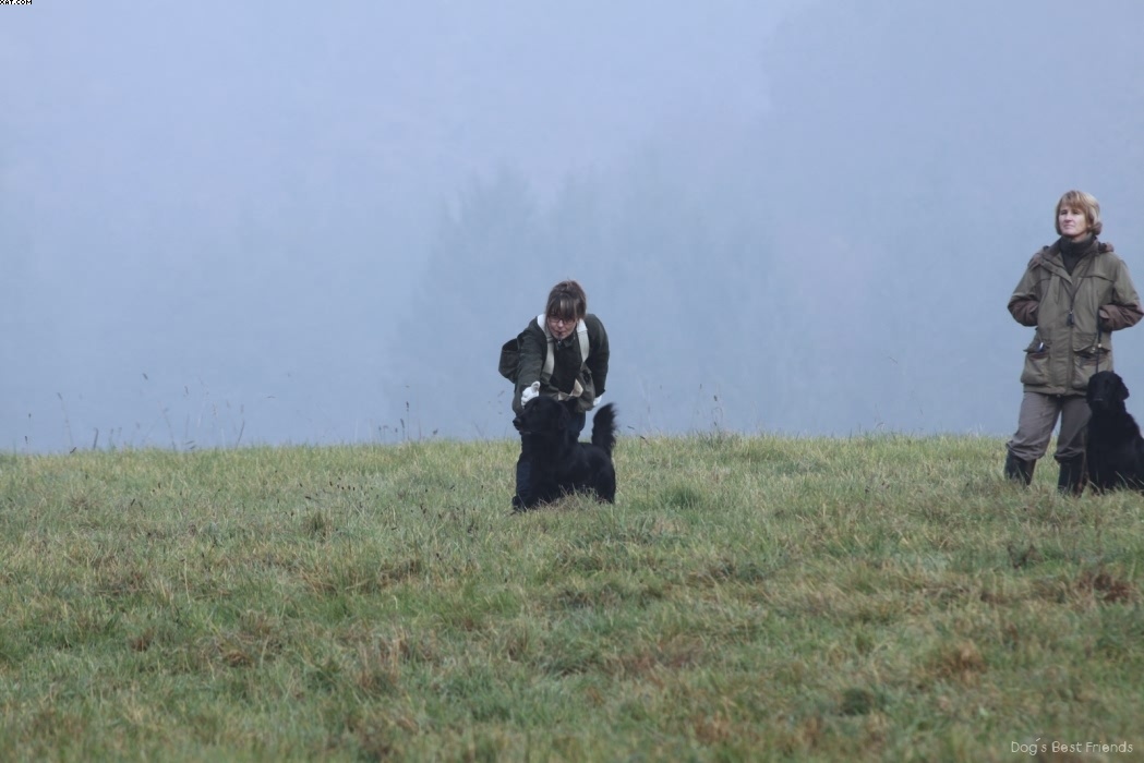 Img 1257444804 825 lg opt