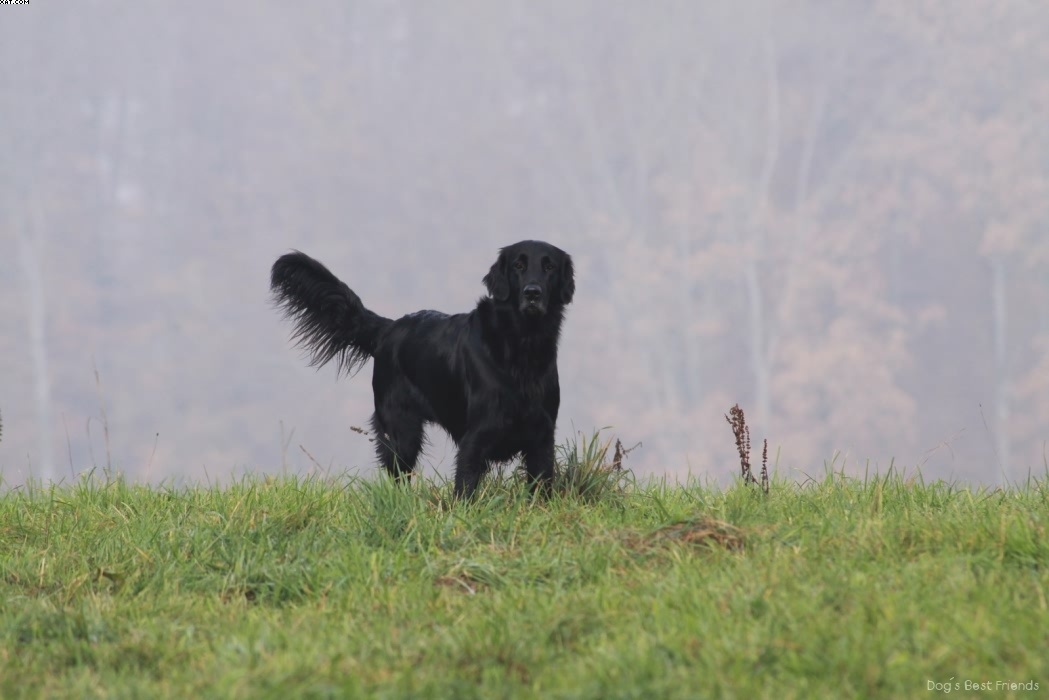 Img 1257444832 899 lg opt