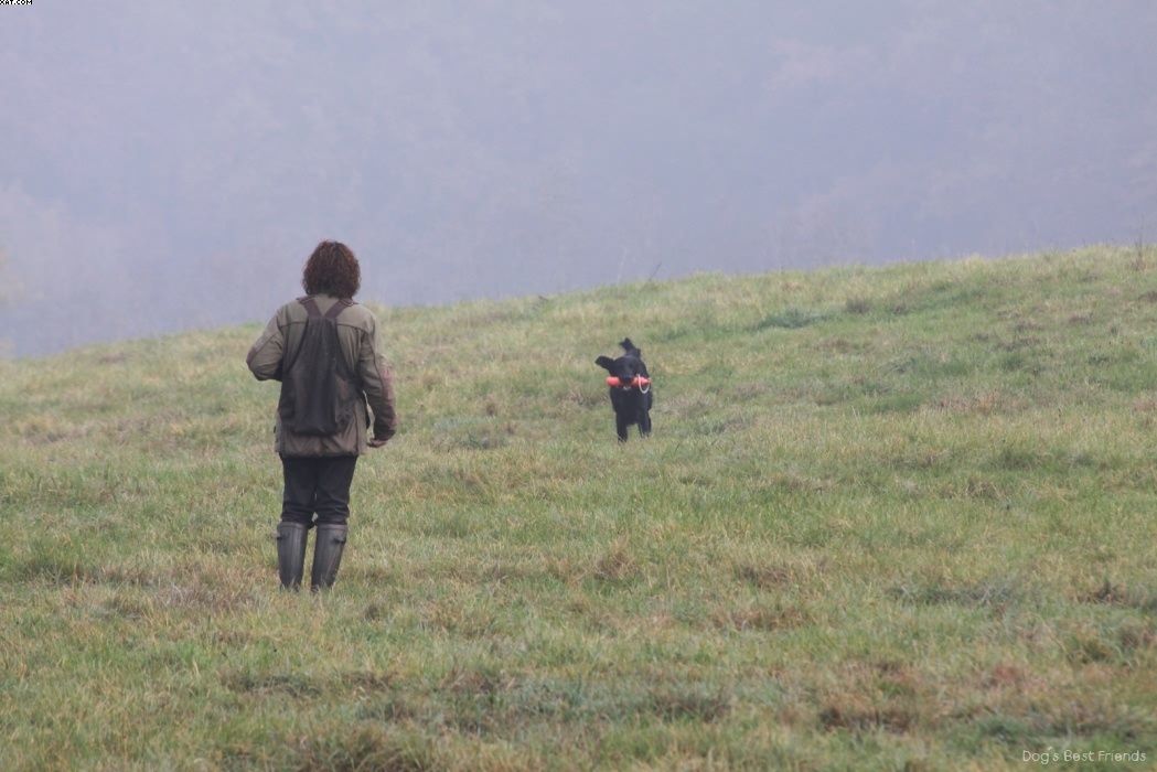 Img 1257444872 389 lg opt