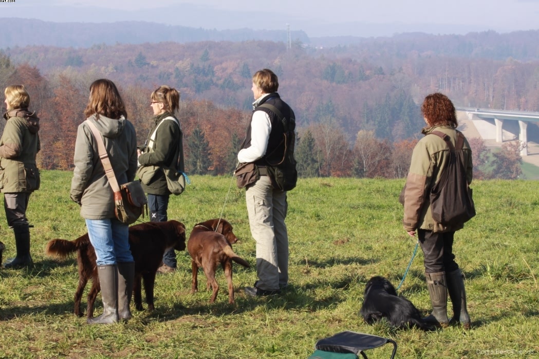 Img 1257444930 541 lg opt