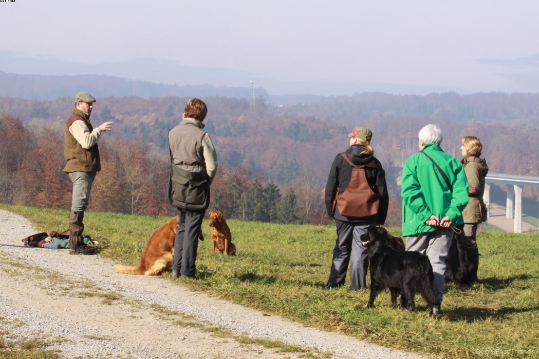 Img 1257444972 343 lg opt