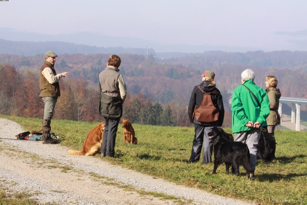 Img 1257445023 289 lg opt