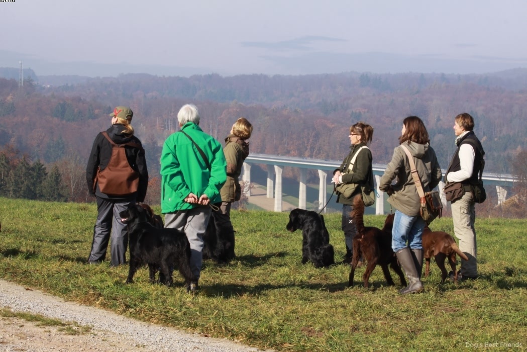 Img 1257445069 196 lg opt