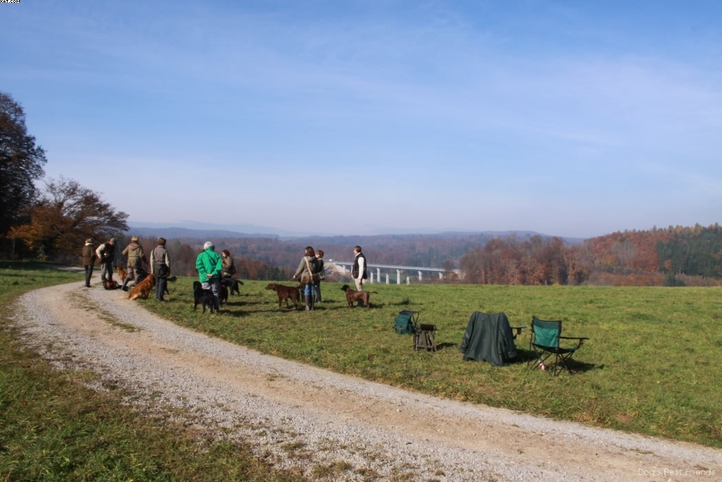 Img 1257445107 948 lg opt