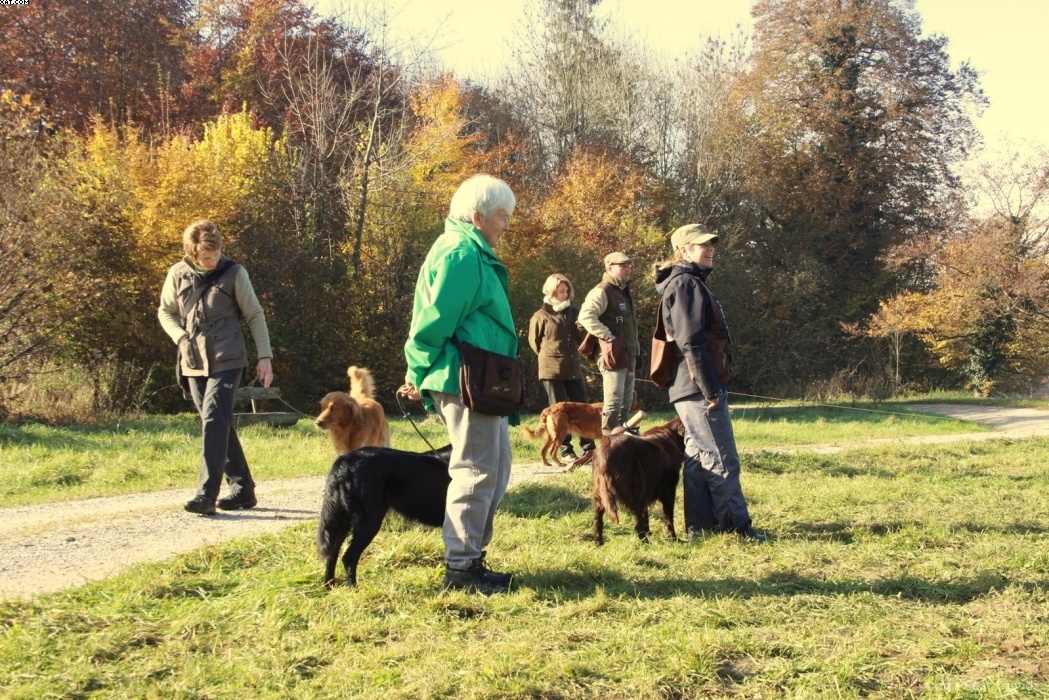 Img 1257445180 515 lg opt